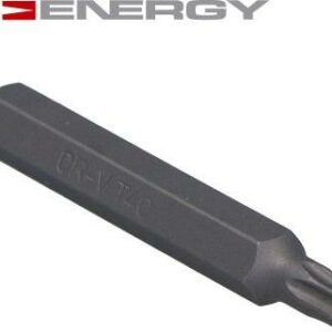 Bit TORX T40 75mm